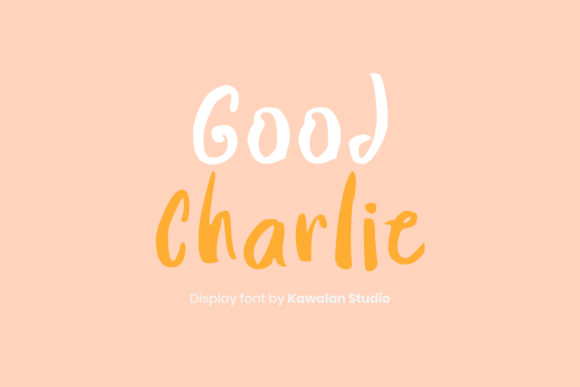 Good Charlie: A Real-World Designer Review