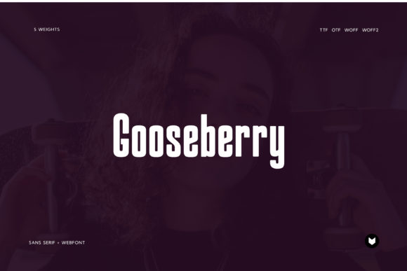 Gooseberry: A Modern Display Font for Campaigns
